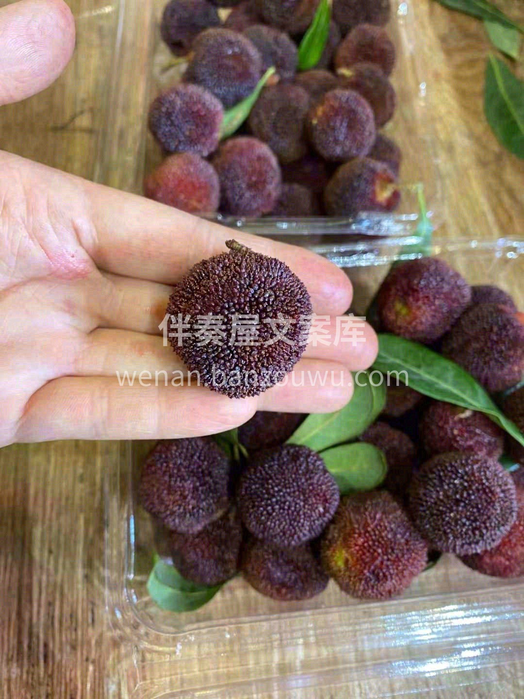 微深染紫的一颗颗，泡过盐水，丢进嘴里👄👄 配图2