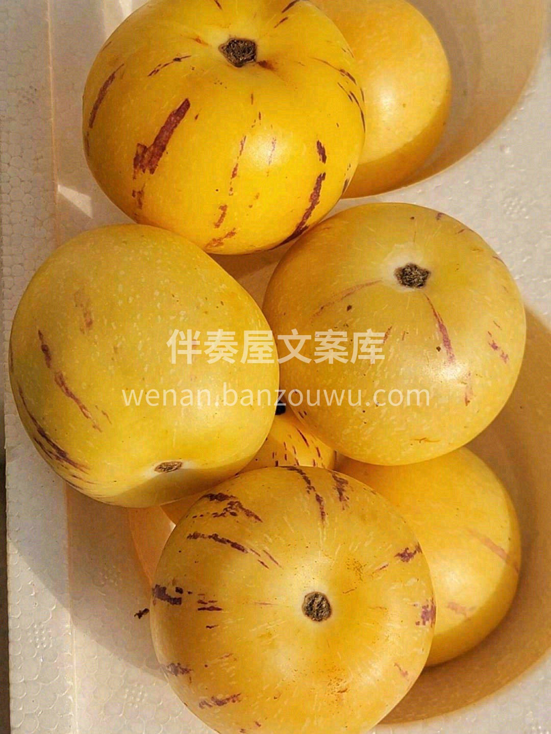 繁华有时，季节交替🍀 对于夏天的喜爱🐞， 配图3