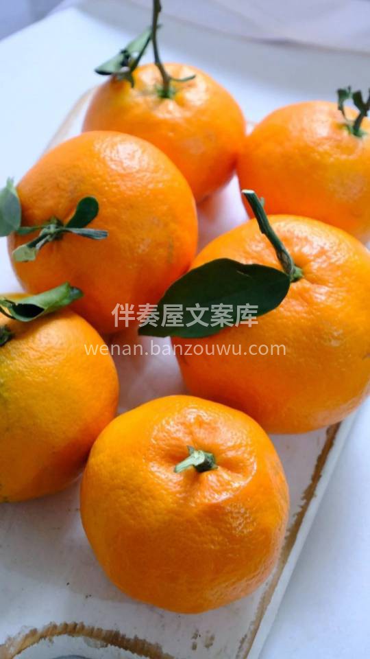 🍊 愿新的一年，日子像橘子一样，一瓣一瓣 配图3