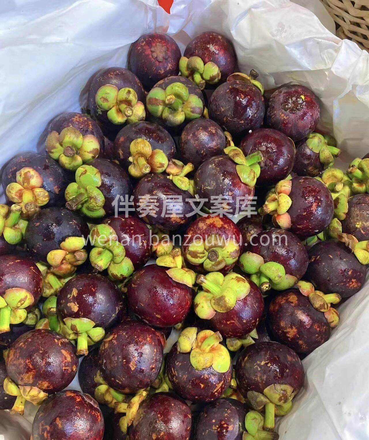 取悦自己才是生活的王道 今日的新鲜果子安 配图3