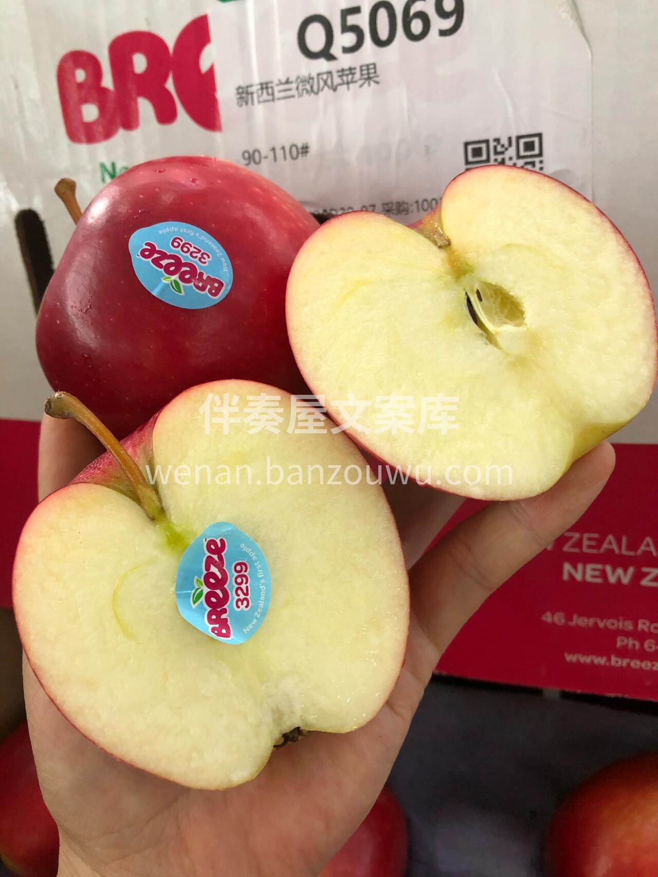#新西兰微风苹果🍎 新西兰的苹果有魔力😘 配图1