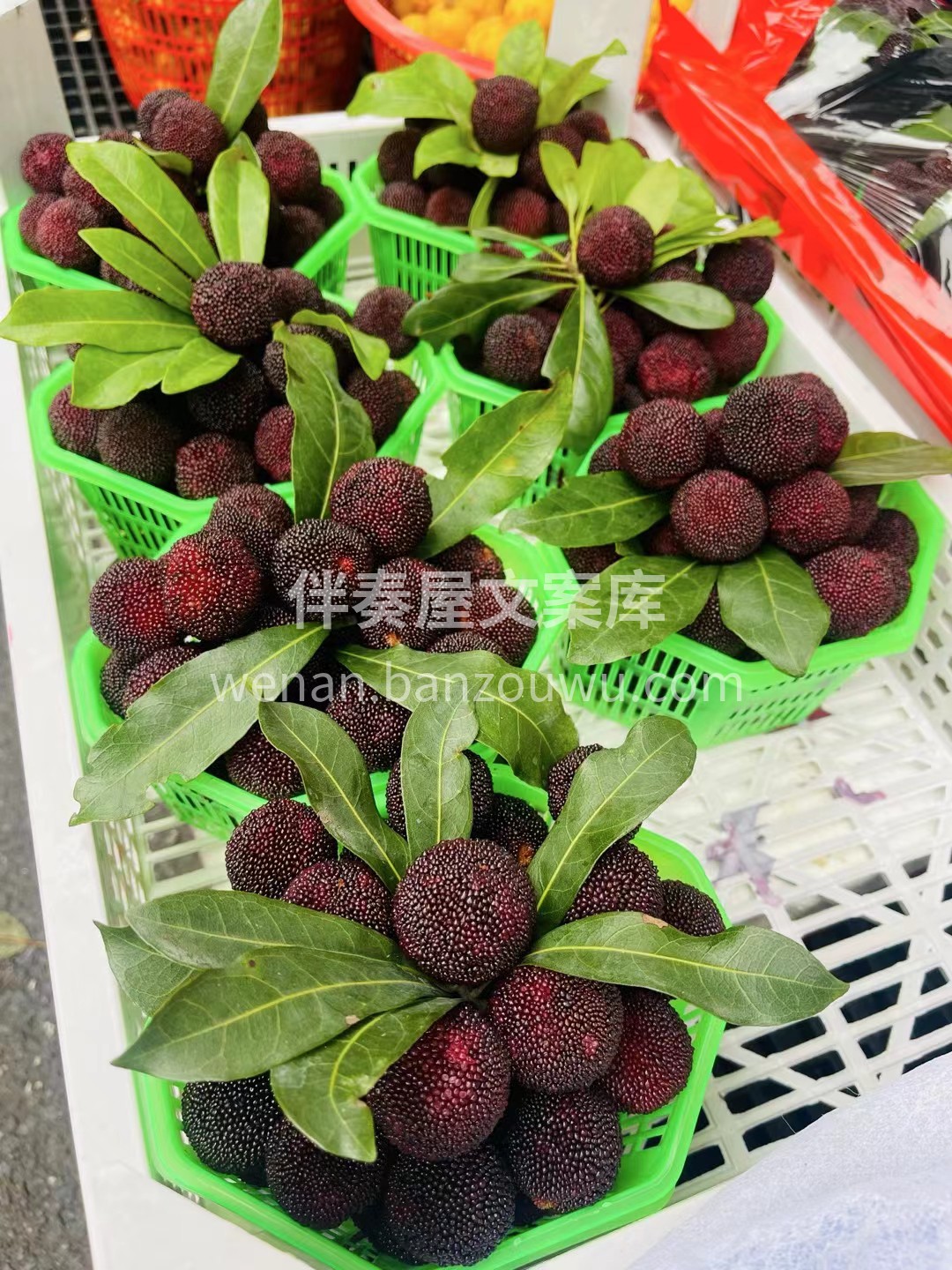 到货！！ 东魁好评不断 口感巅峰🔥 肉厚 配图2