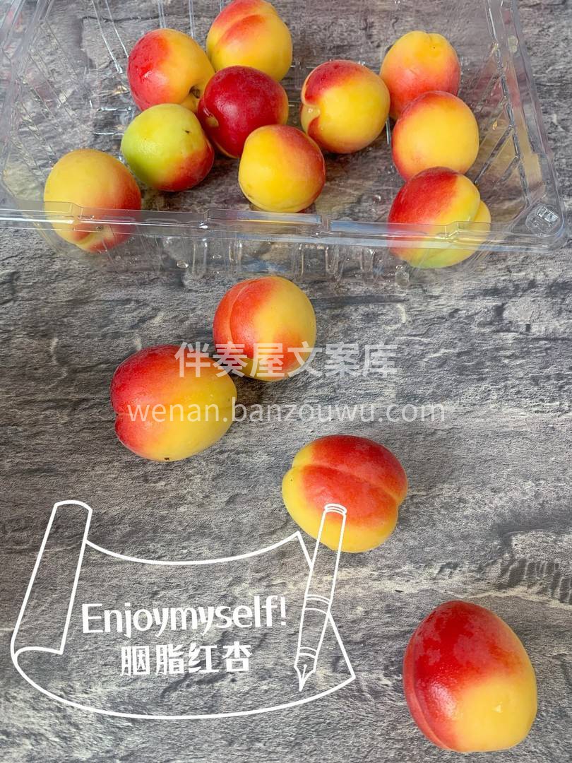 🎀 熟透的胭脂杏，其色半红半黄，果实晶莹 配图3