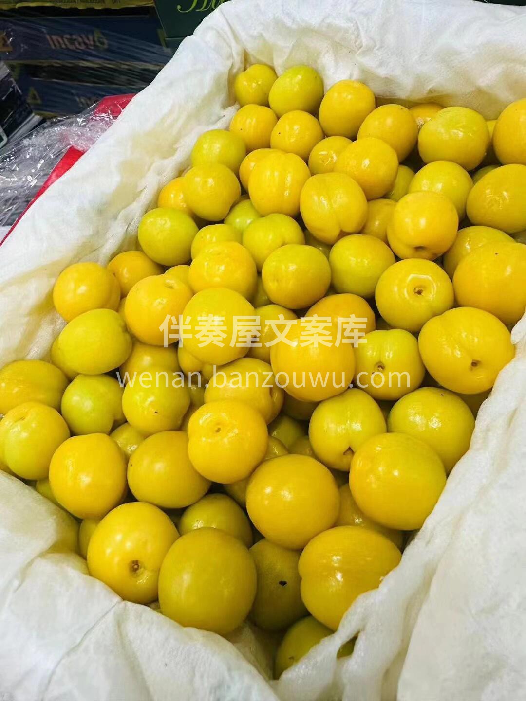 夏天的风🌬️吹到了新疆💋新疆·小白杏‼️ 配图2