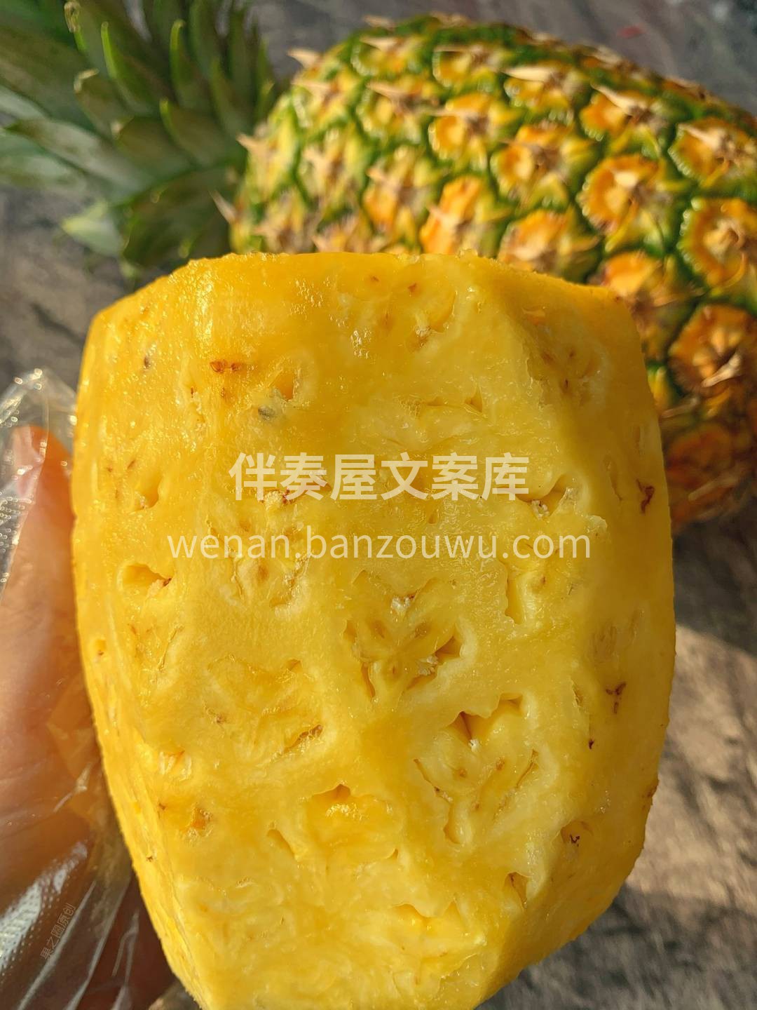 🍍 菲律宾凤梨！🍍 金钻之后又一王者👑连 配图1