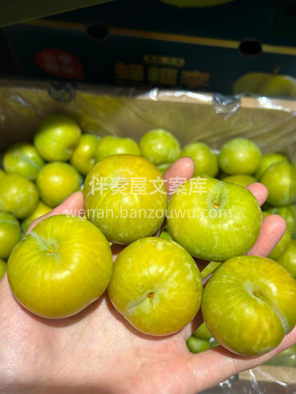蜂糖李也太好吃了😋李中之王👍🏻👍🏻 蜂糖 配图1