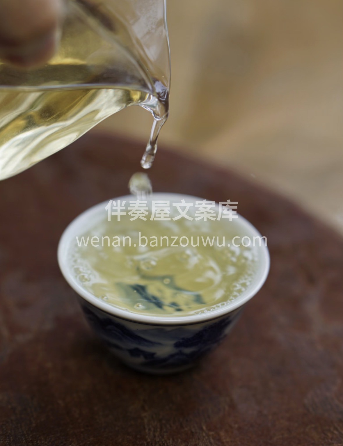 🔥 限时福利｜头采白毫银针特惠开抢 ▫️ 配图3