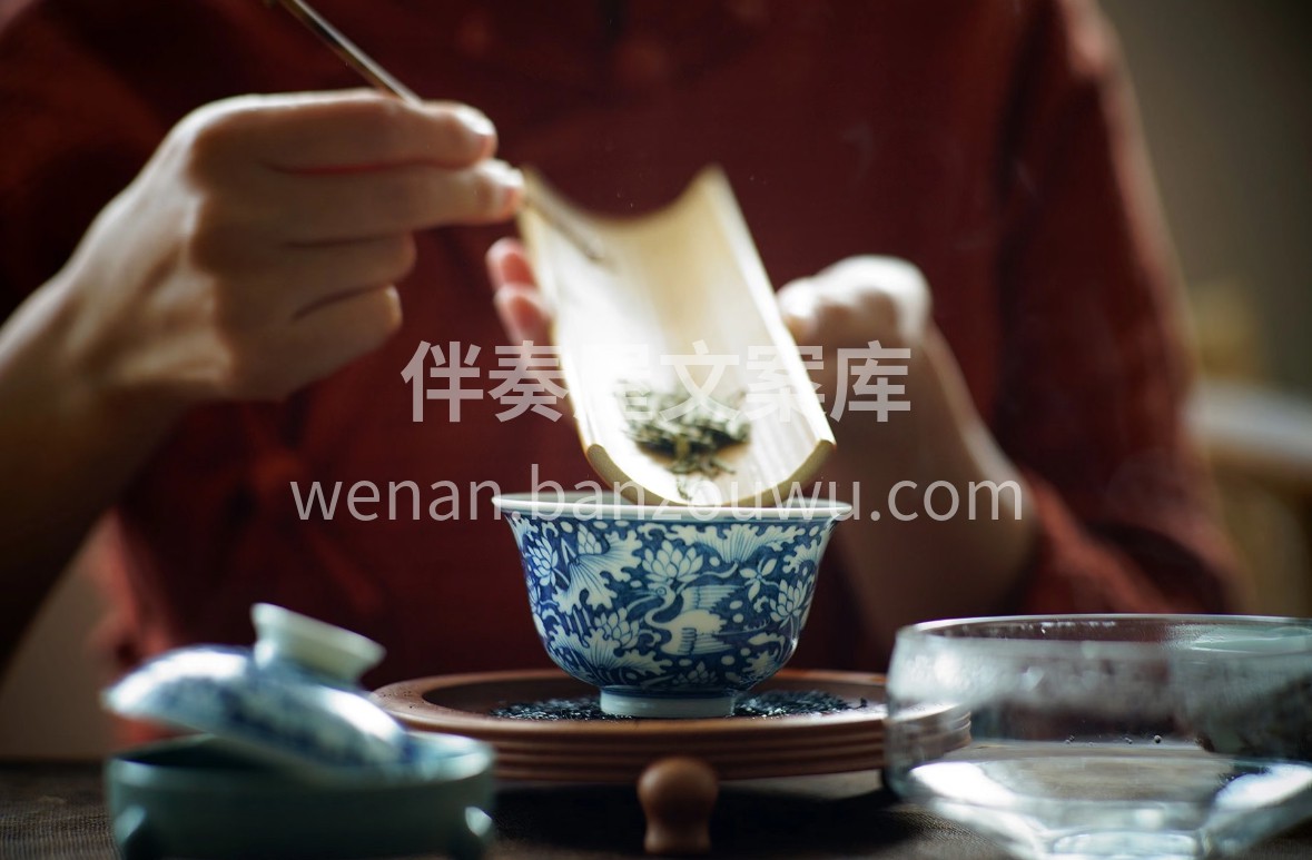平阳黄汤·蜜韵金汤 明前嫩芽揉捻成韵，三 配图1