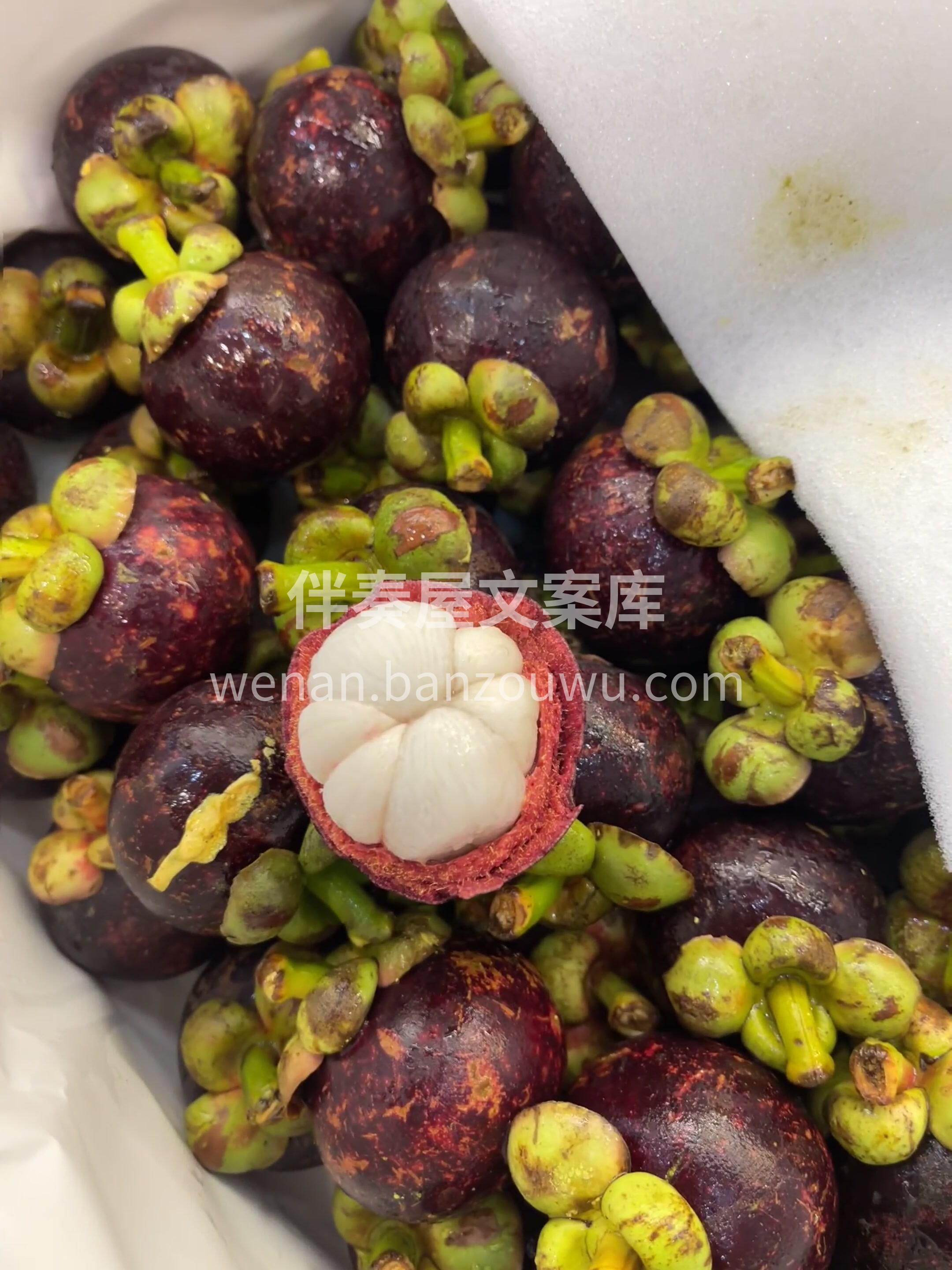 🔥山竹这批状态很顶‼️ 壳一捏就开👌完全 配图1