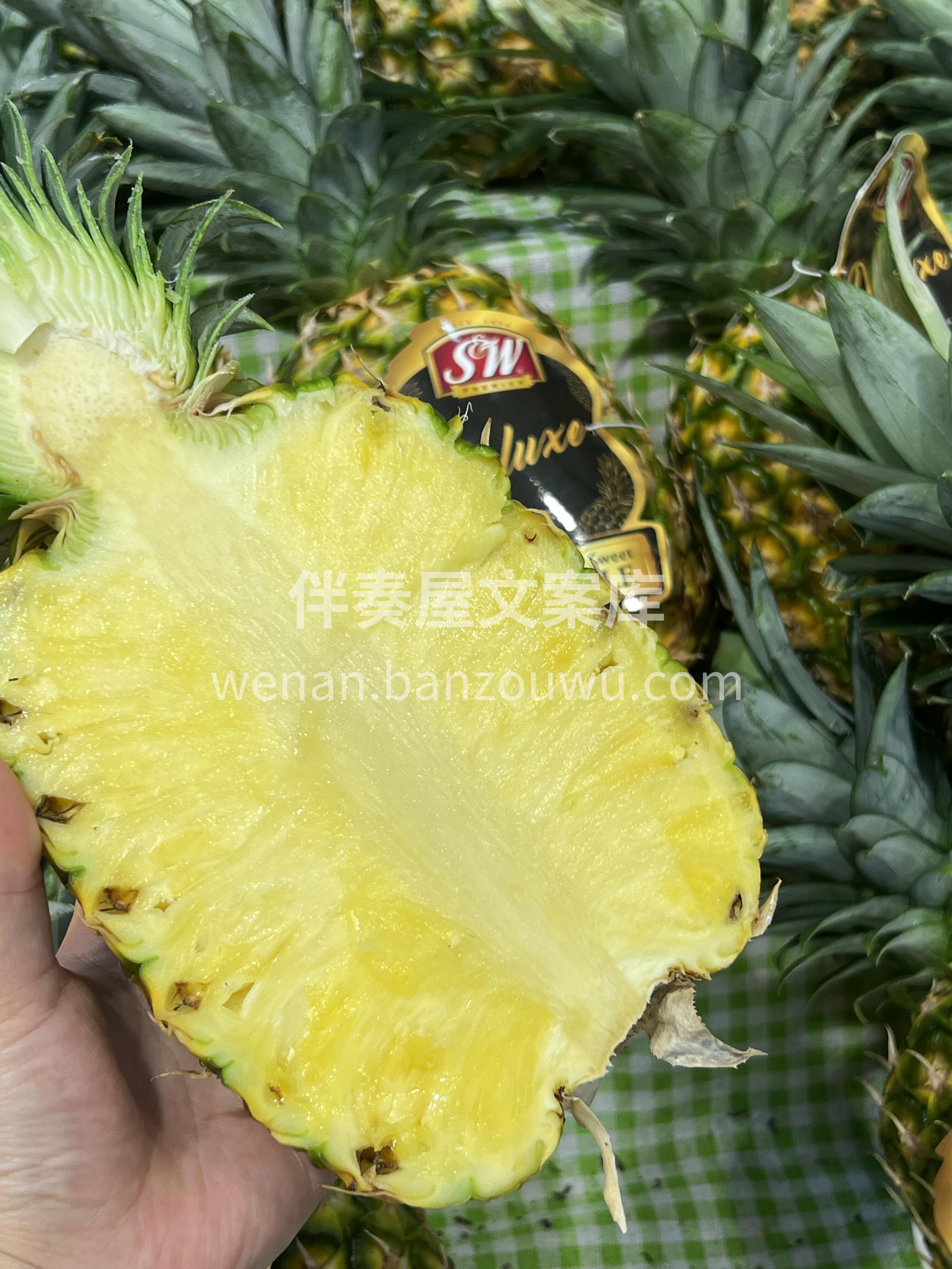 💞醒神良药，浪漫邂逅 仿佛盛开的“凤梨花 配图1