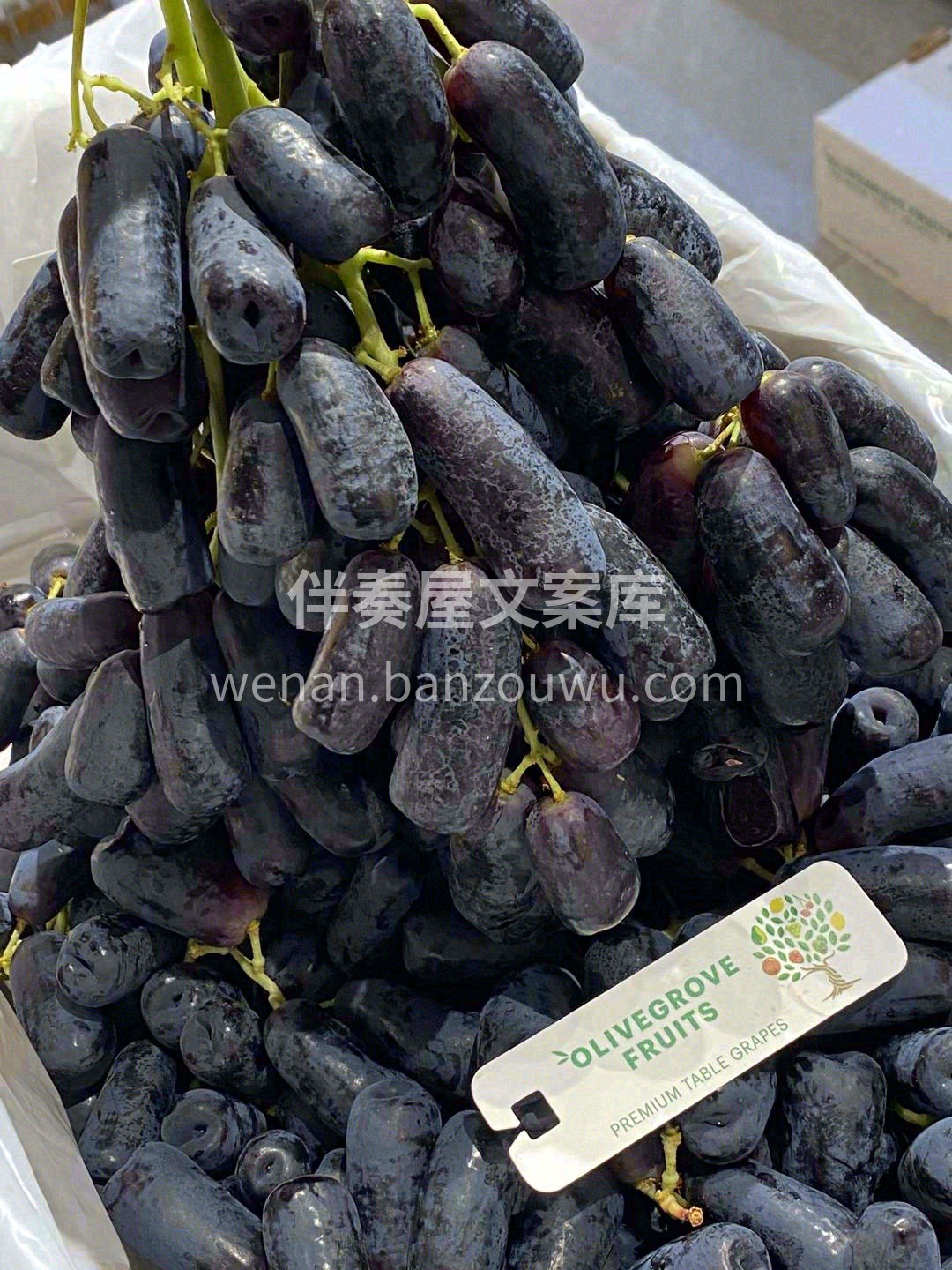 生活的甜水果来承包✅️ 疲惫赶跑🍃快乐加 配图3