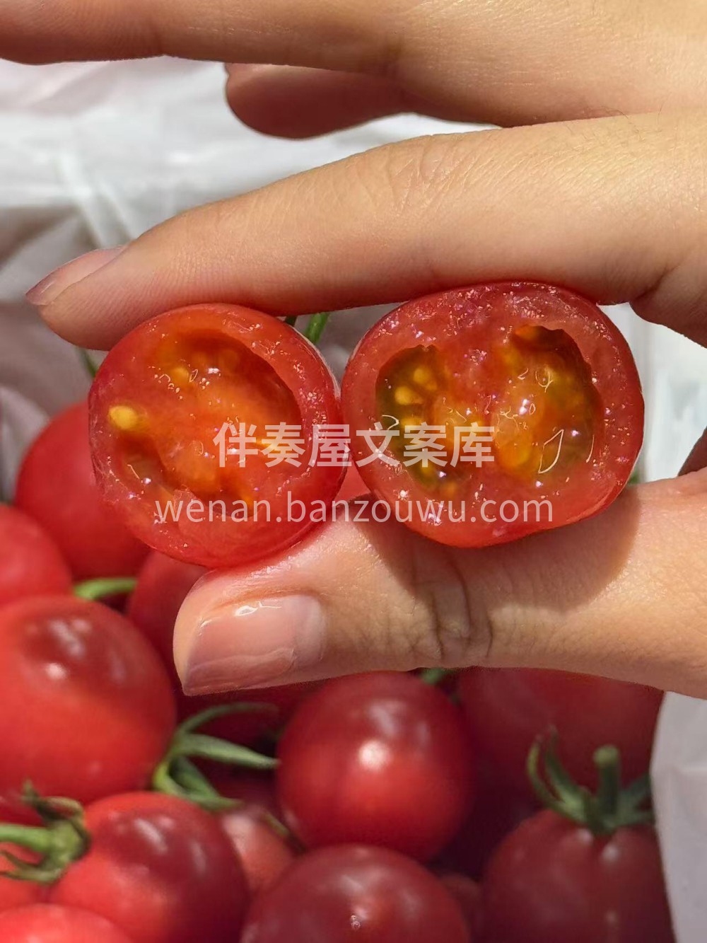 🍅小番茄大揭秘！一口爆汁，甜过初恋！ 💥 配图2