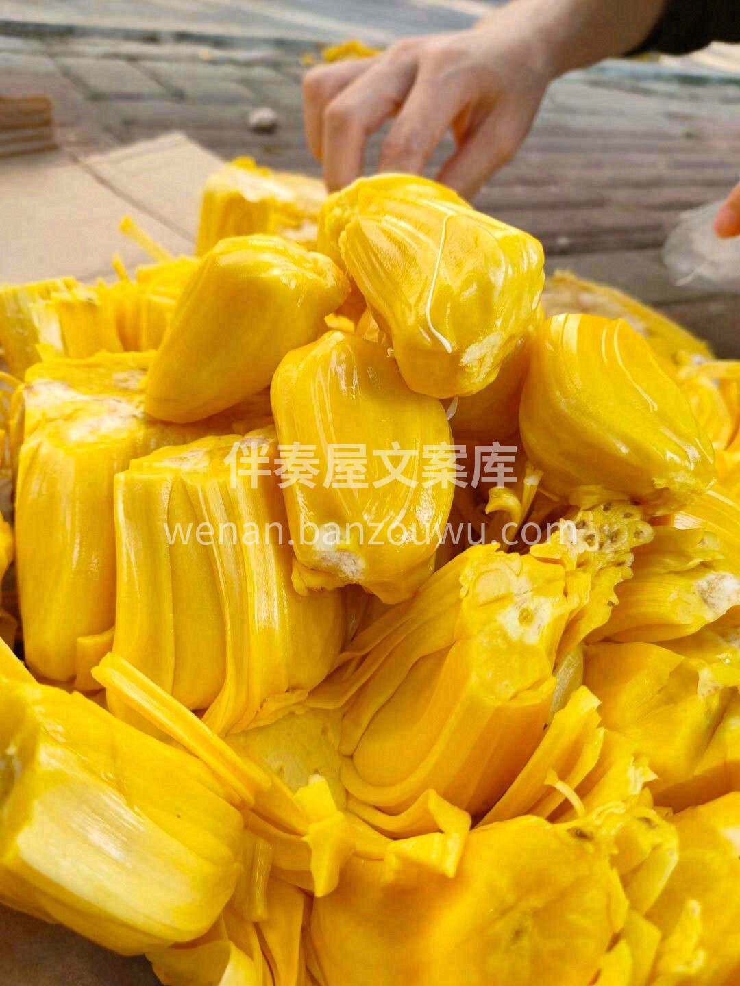 💛菠萝蜜新鲜手剥，干净卫生，不用担心科技 配图2