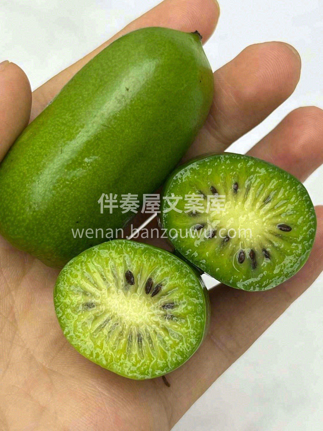 专属于秋天的限定水果🎉，除了口感上的甜爽 配图3