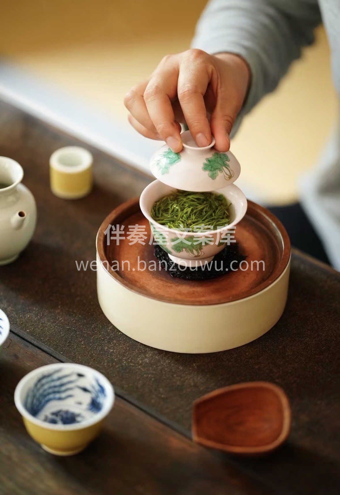 春日好茶，贵在头采银针🍵 不炒不揉，天然 配图2