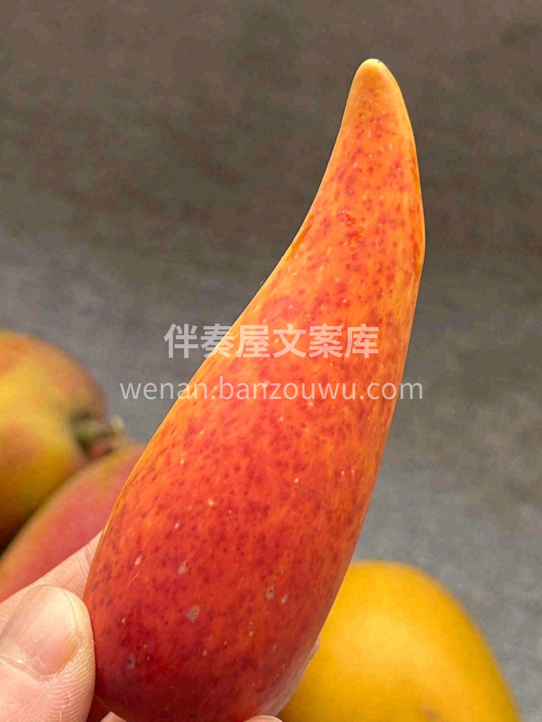 彩虹色的辣椒贵妃芒🥭好看又好吃😍 因果核 配图3