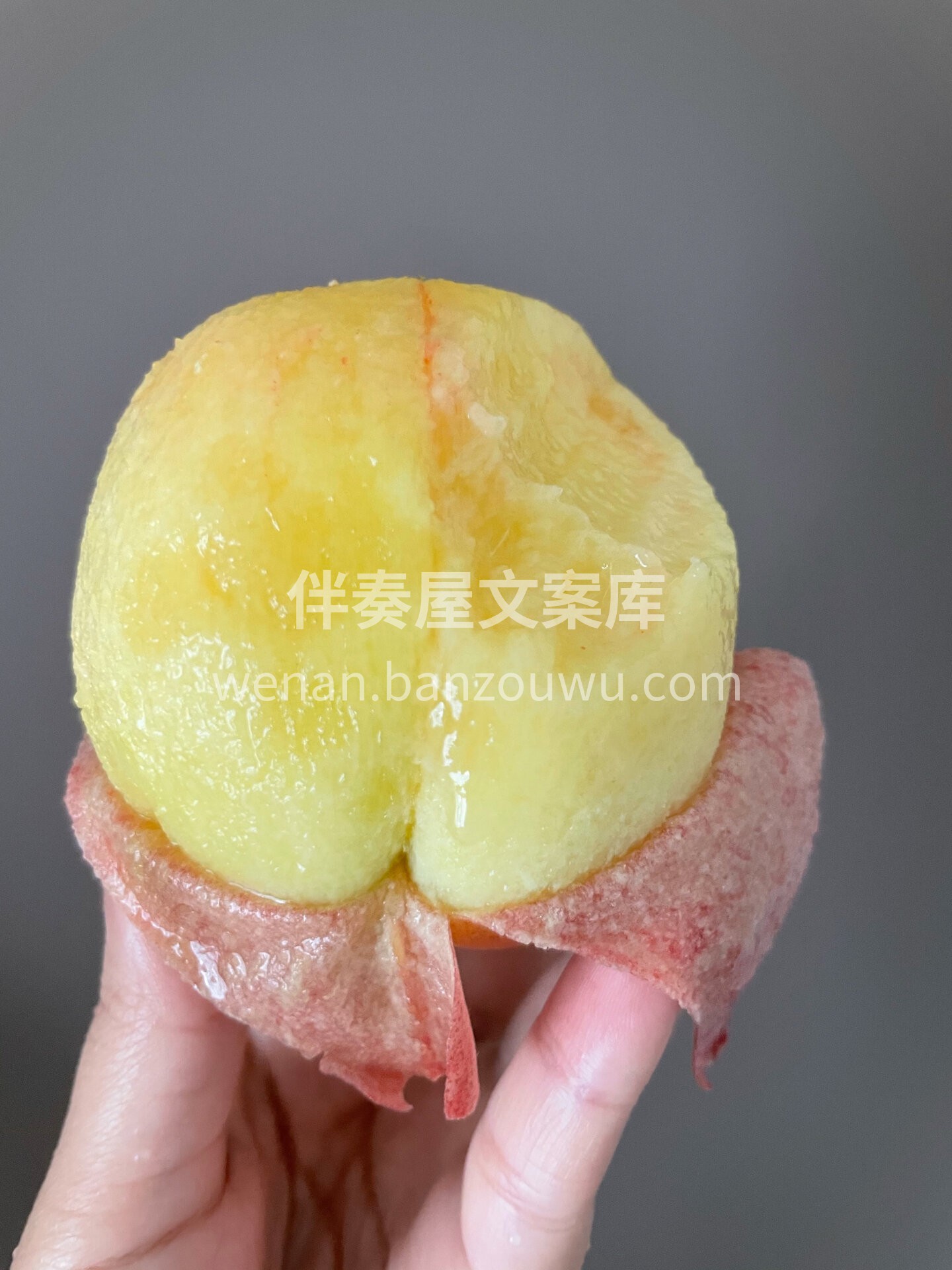 🙊一口下去，难以自持，爆汁之余，独特的花 配图1