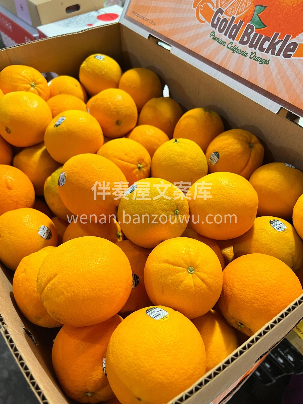 美国🇺🇸3107黑标脐橙🍊 🇺🇸大果肉厚 配图3