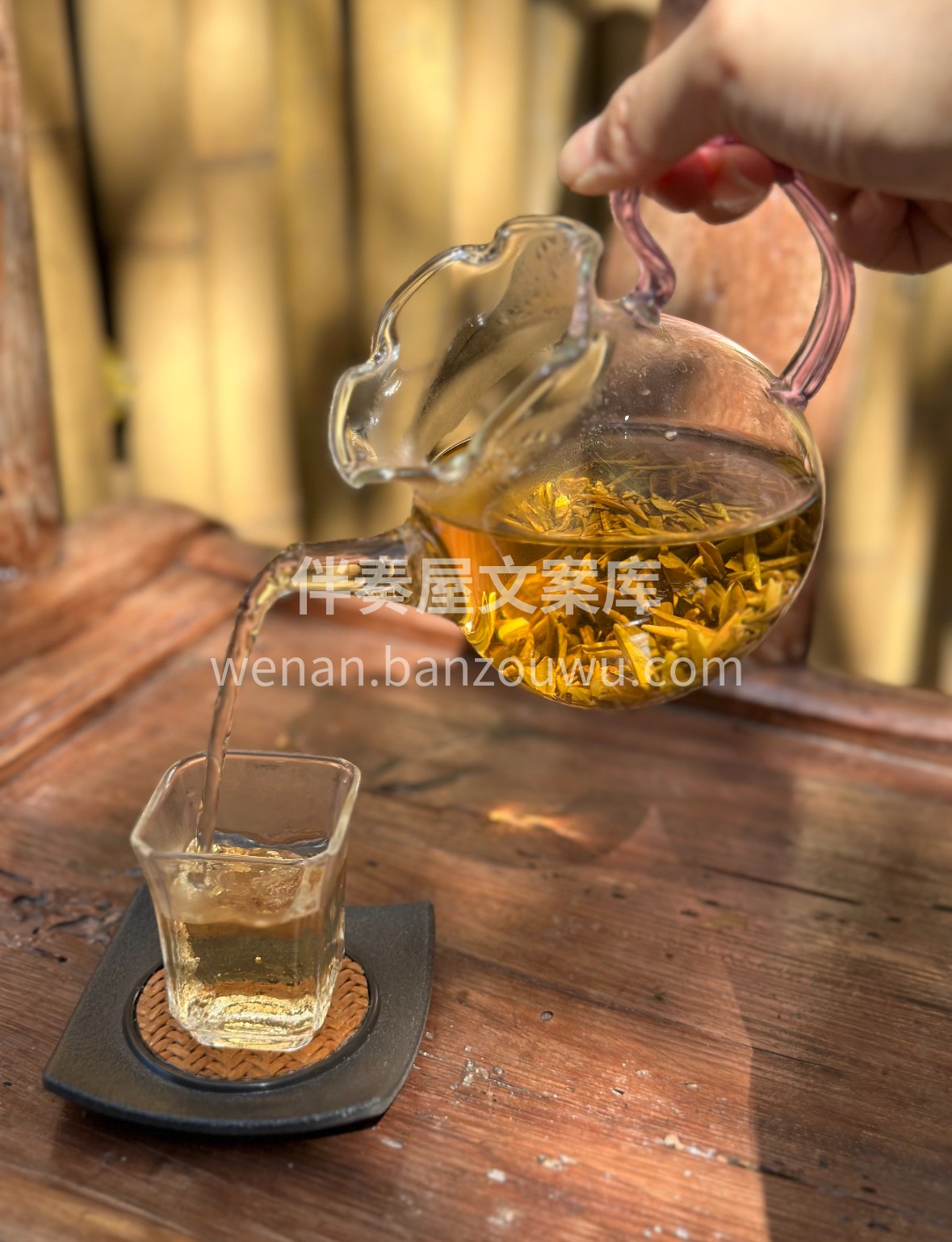 蒙顶山云雾滋养，明前嫩芽经三闷三炒成黄芽 配图3