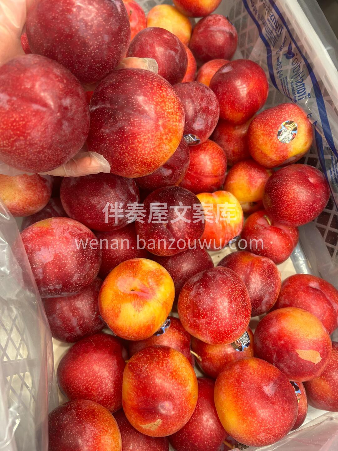 这个珠宝李💎能入你眼吗？ 抗衰老的水果‼ 配图3