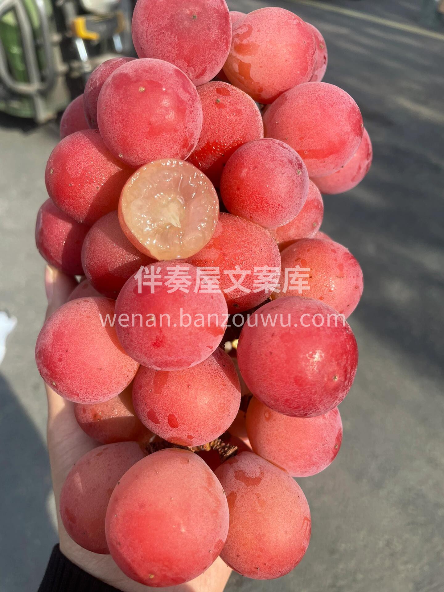 💚妮娜皇后👸葡萄届的巅峰美味～ 拥有酒香 配图1