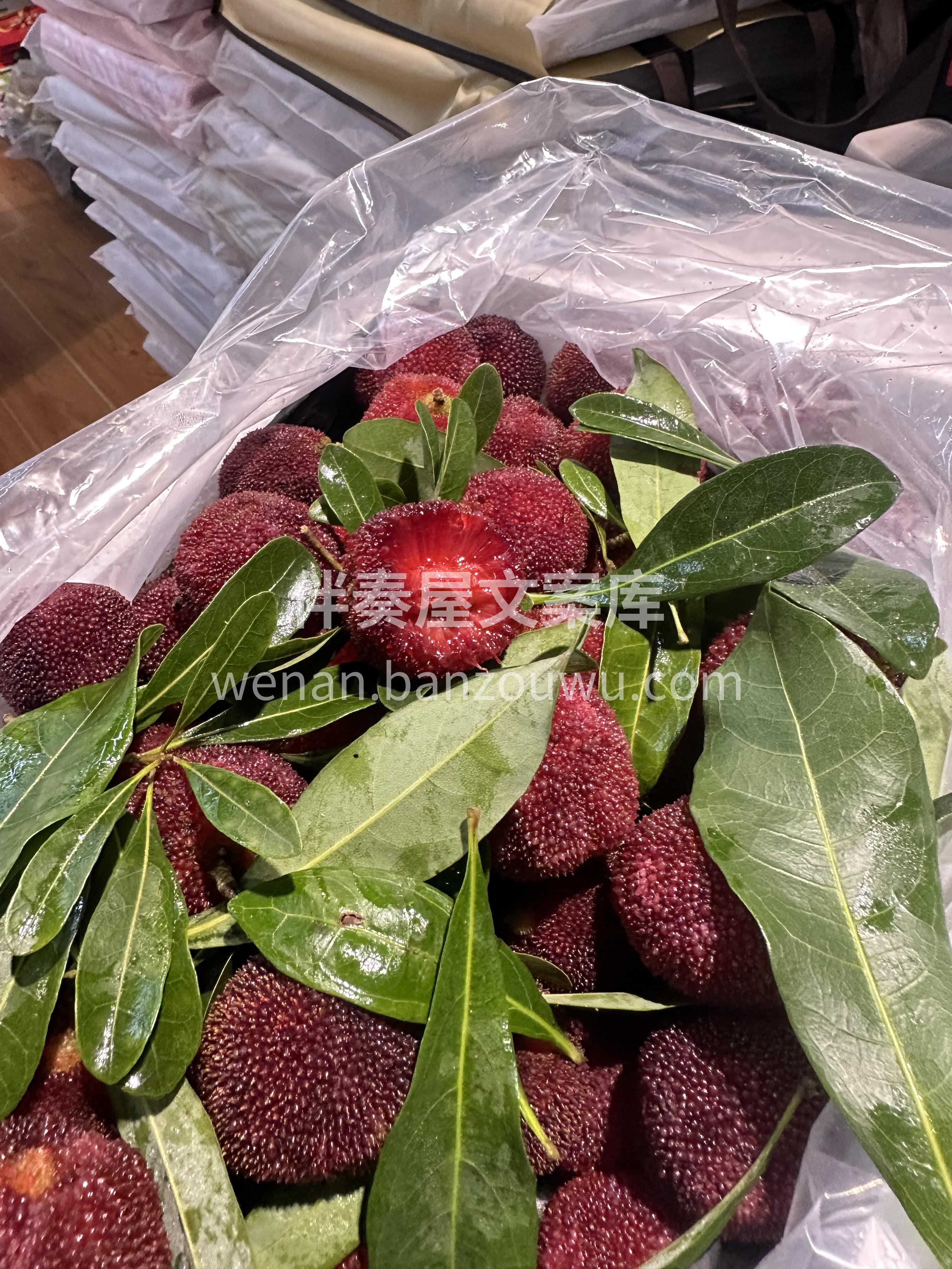 【东魁杨梅】新鲜到店🔥 ❤️ 东魁杨梅可 配图3