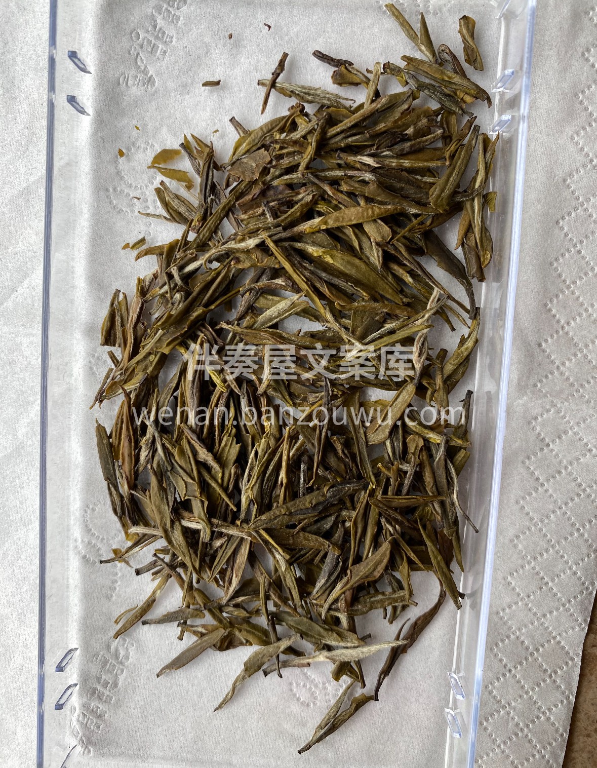 君山银针·黄茶雅韵 晨露润君山，银针吐鲜 配图1