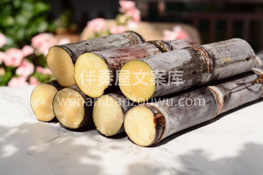 🎋漓江黑皮甘蔗到货 黄橙橙的肉质！🔥 这 配图1