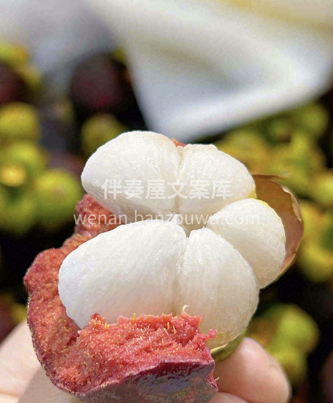 红皮绿叶看着就喜庆💯 👑水果皇后”泰国山 配图1