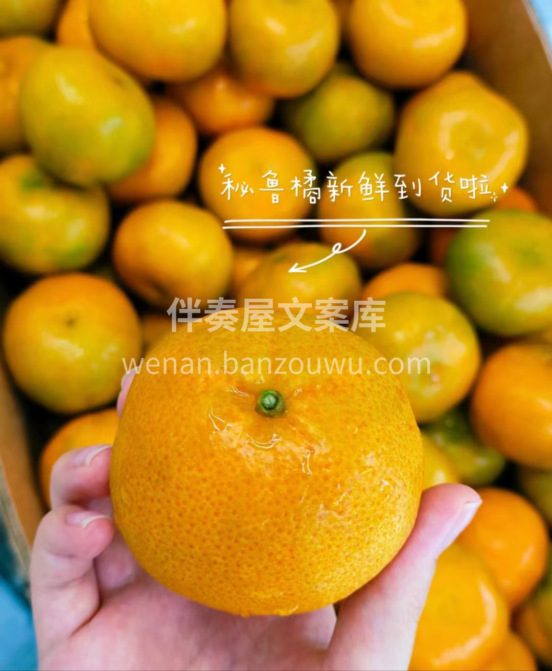 有一种浪漫，是秘鲁橘味儿的哦😍 皮薄，无 配图2