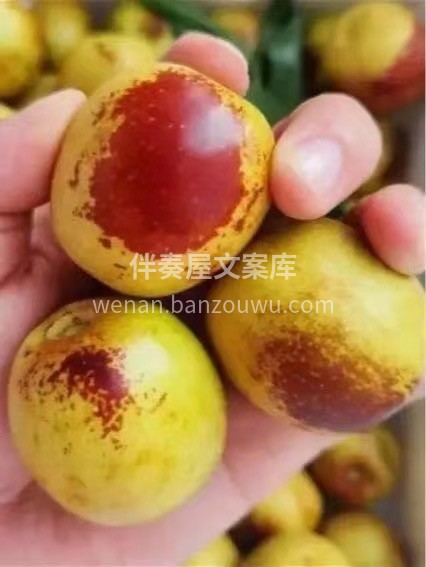 ✨今日份维C炸弹已就位✨ 是谁的秋冬快乐 配图1