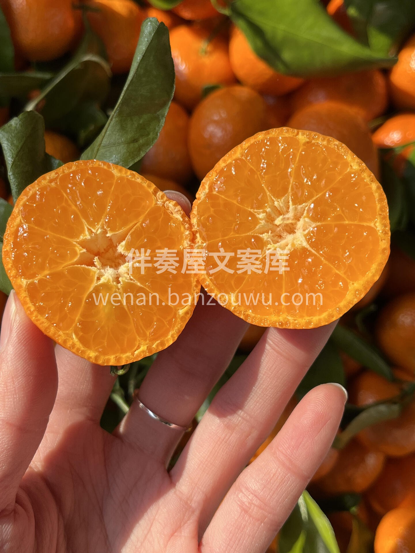 🍊砂糖橘开炫🙋 一份专属滋润💋~ 颜值高 配图2