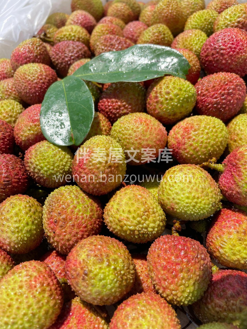 快来看看这个荔枝怎么样一骑红尘妃子笑🍃我 配图3