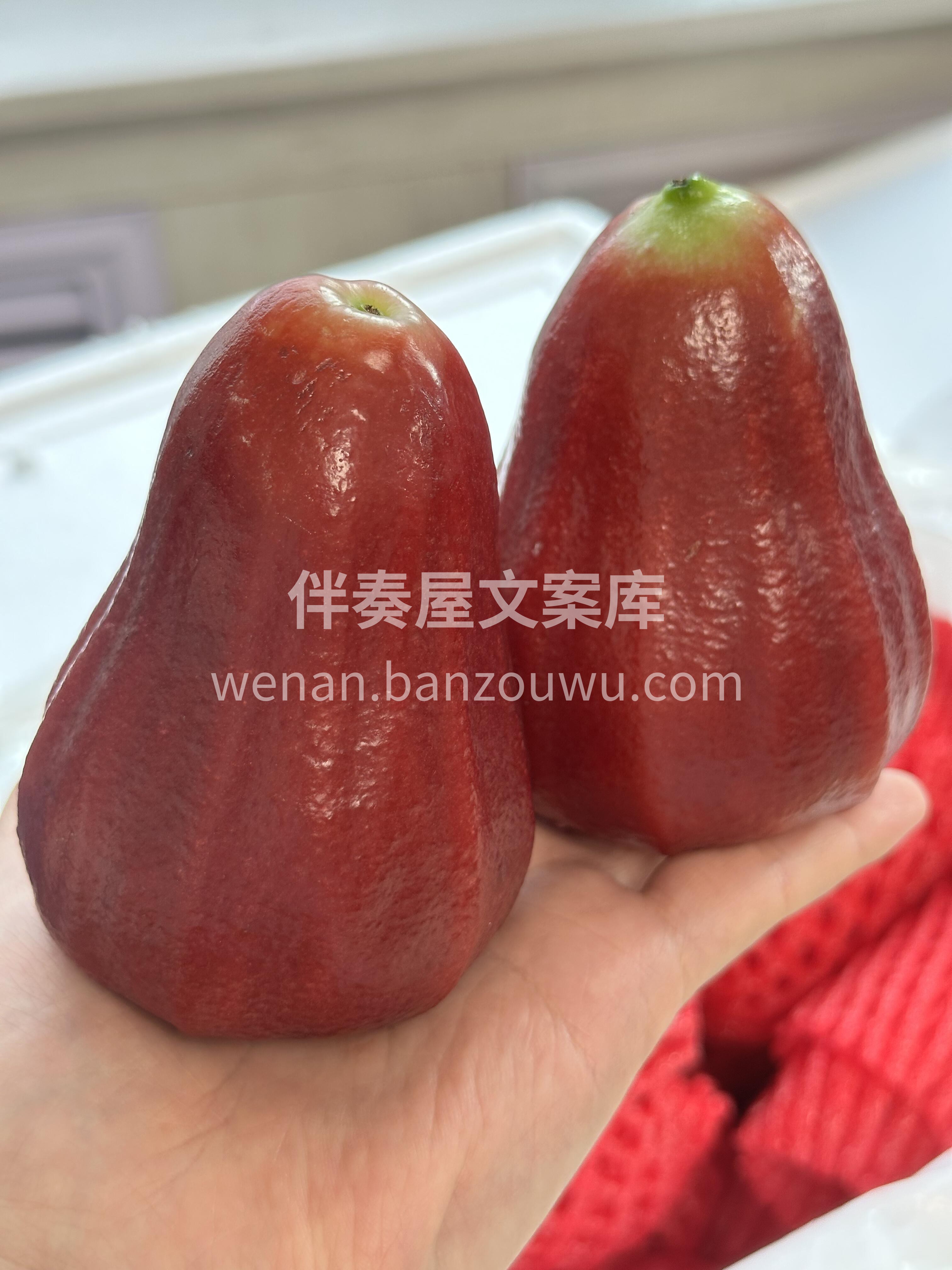 🌿长在树上的矿泉水🌊 名副其实的蓄水小炸 配图3