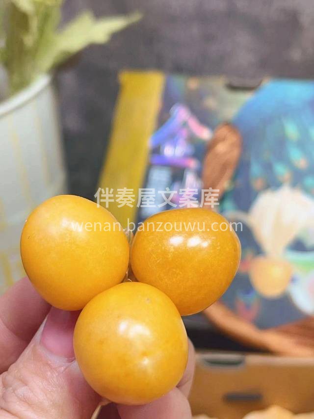 阳‮下光‬的姑娘果🤩好赞 浑‮都身‬是宝 配图1