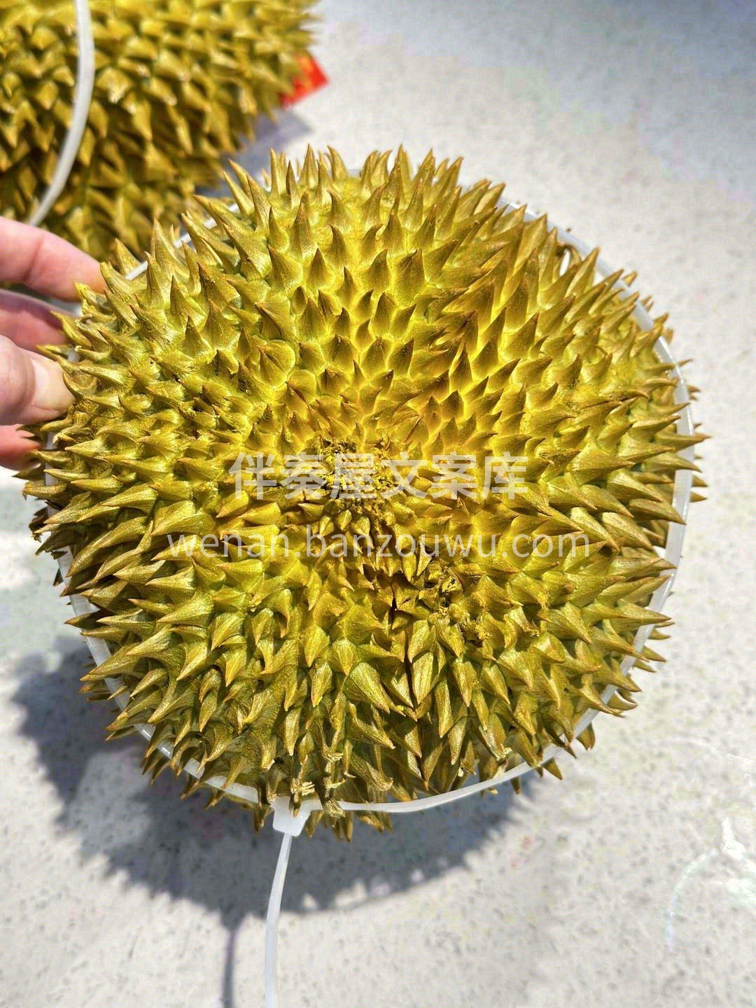 每一颗榴莲都是一份期待🤩 我们能做的，就 配图3