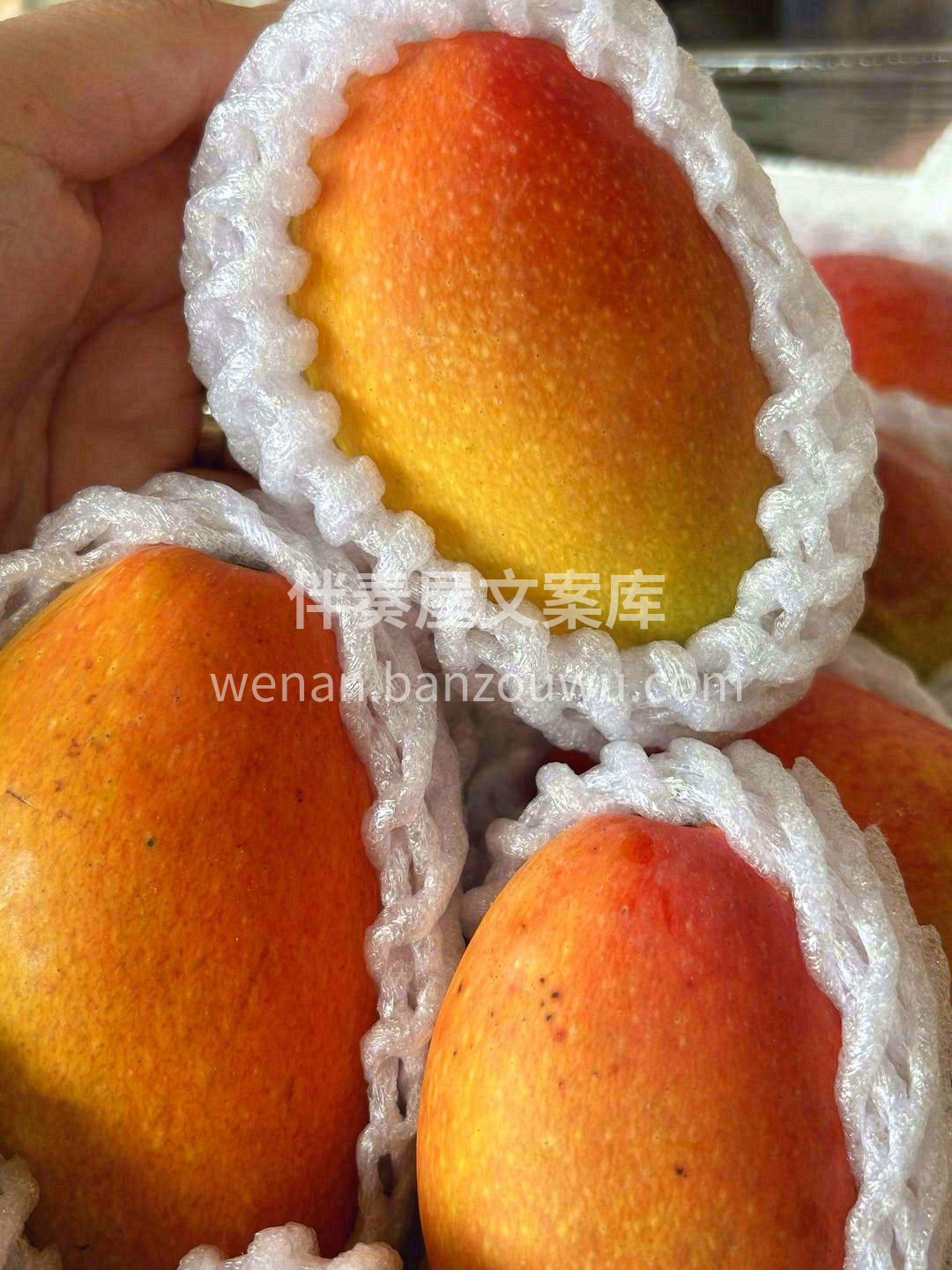 🥭贵妃芒是微信表情里的芒果本芒😍 外皮薄 配图1