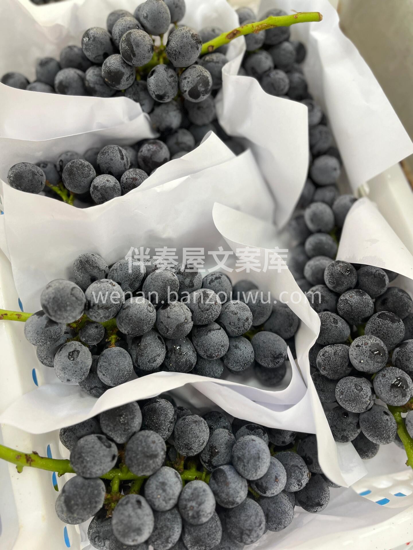 夏黑葡萄🍇新鲜到店啦 宝宝👶🏻 也可以吃 配图2