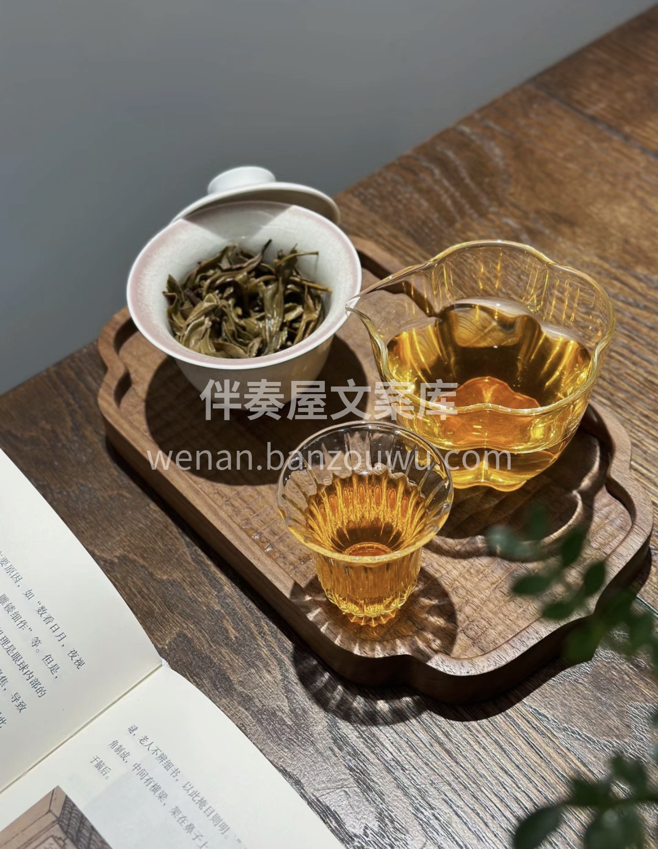 🍵宝子们，香茗驾到😜！👀精选品质茶叶，每 配图3