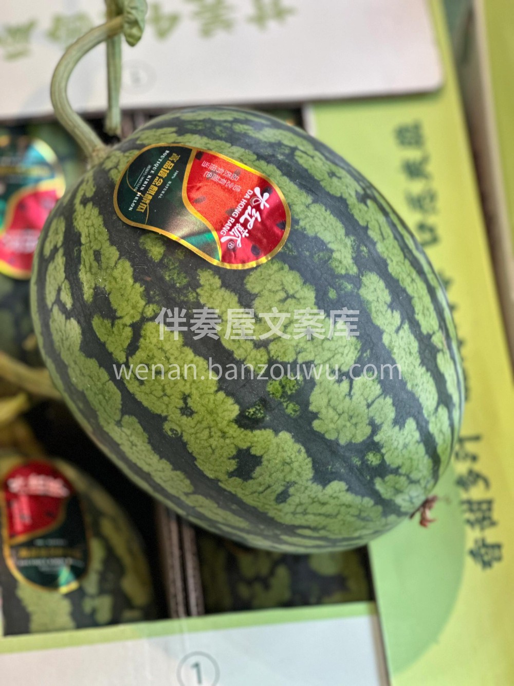简直是梦中情瓜啊😍甘美4K战神西瓜真的无 配图3