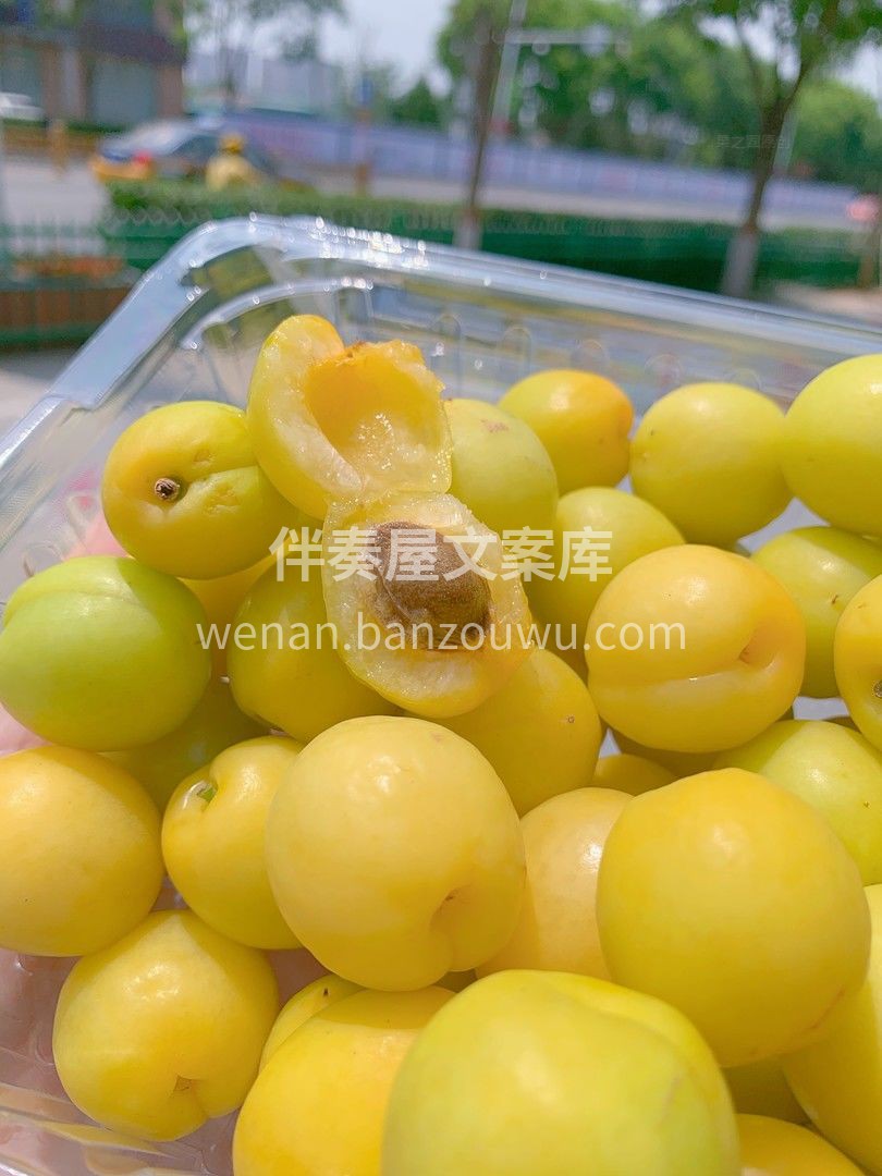 新疆小白杏在维语里意为“白色蜂蜜”🐝🐝  配图3
