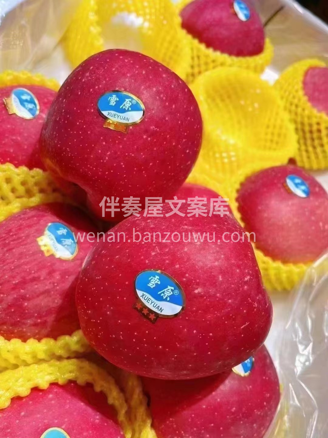 在高原被充足光照🌞🌻亲吻过的雪原红富士苹 配图1
