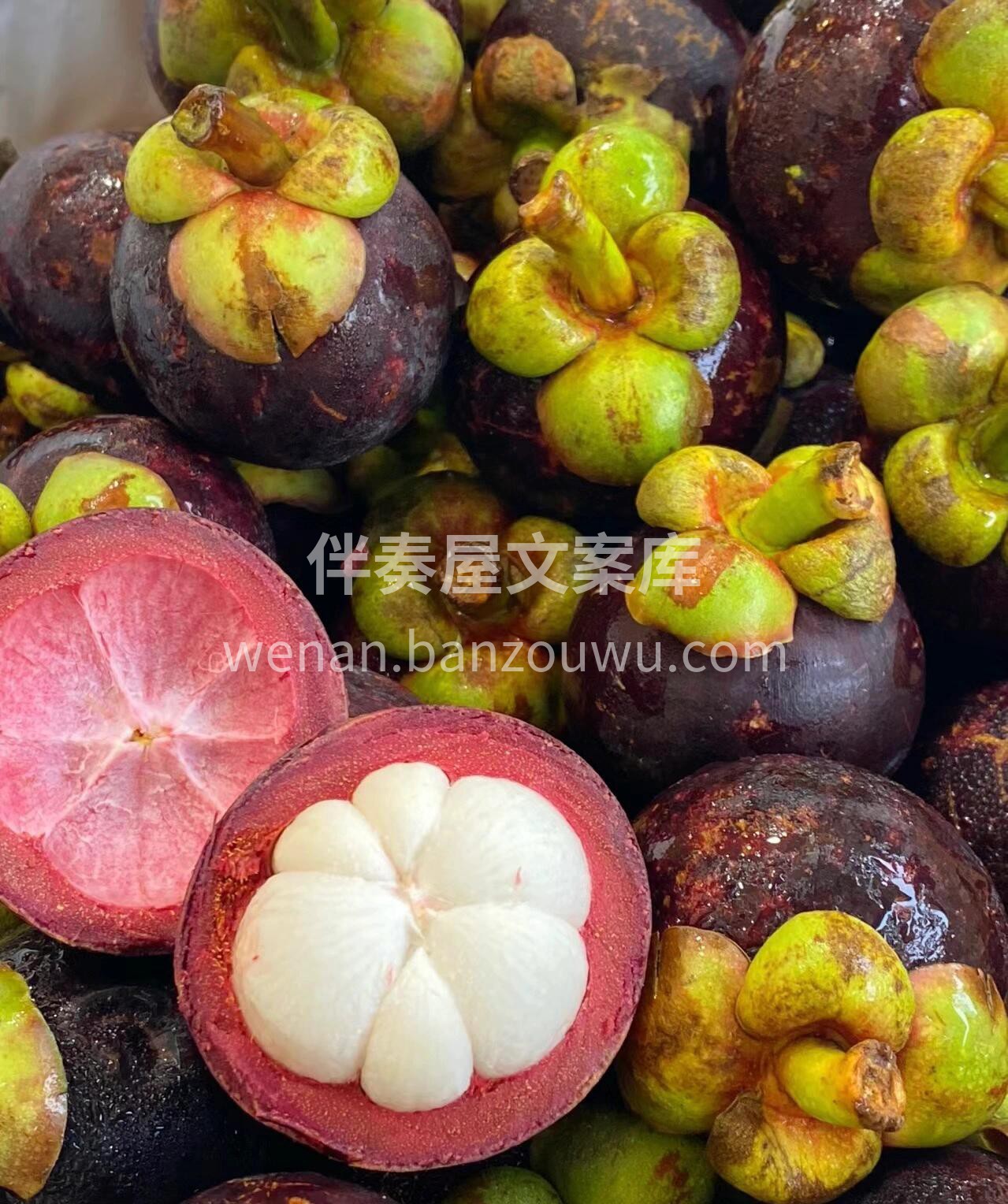 白胖子大山竹大量到货✈️新鲜空运🌿🌿 无 配图2