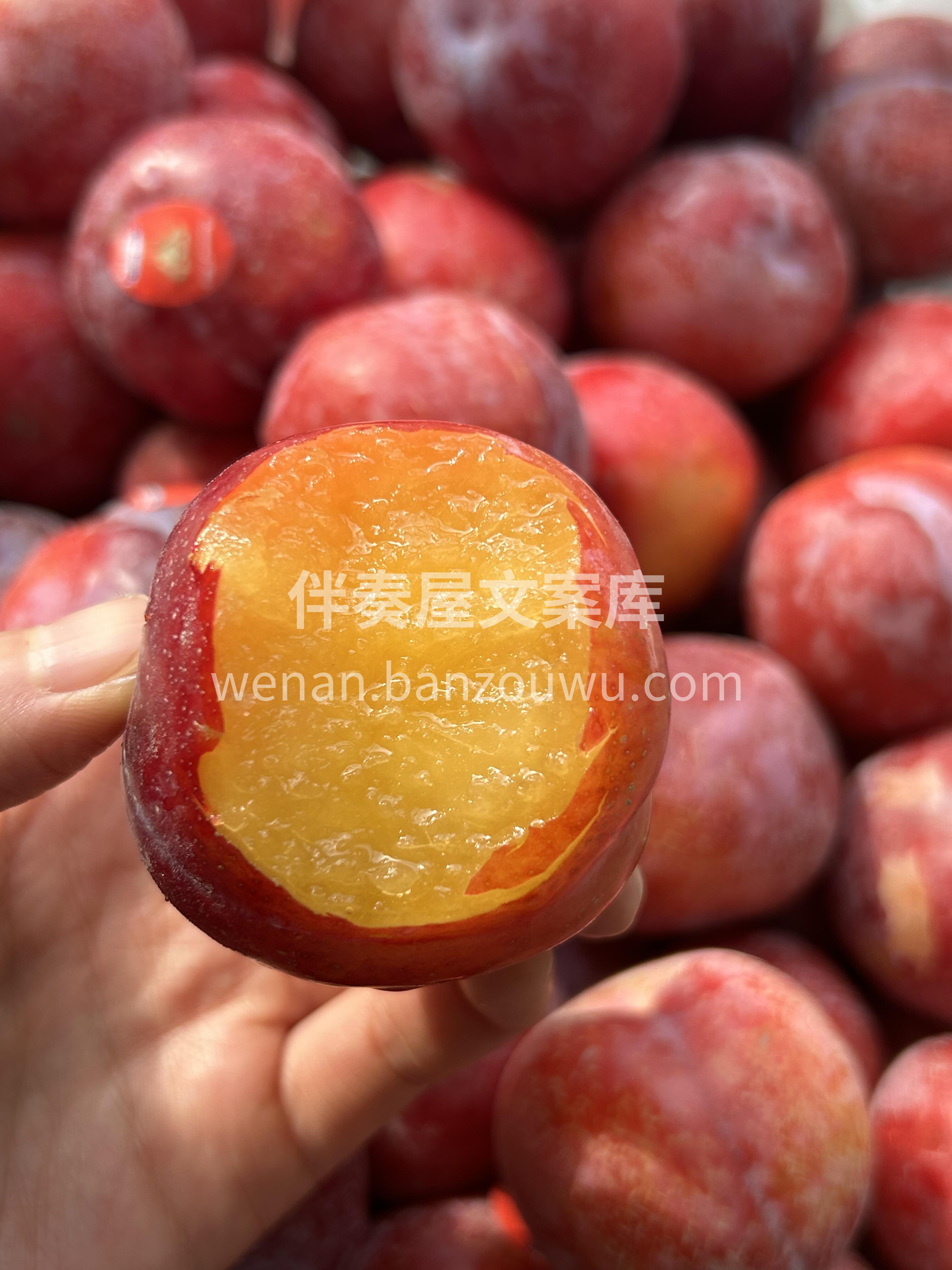 【太阳李🌞】～真正的神仙货🔥 果肉嫩黄色 配图1