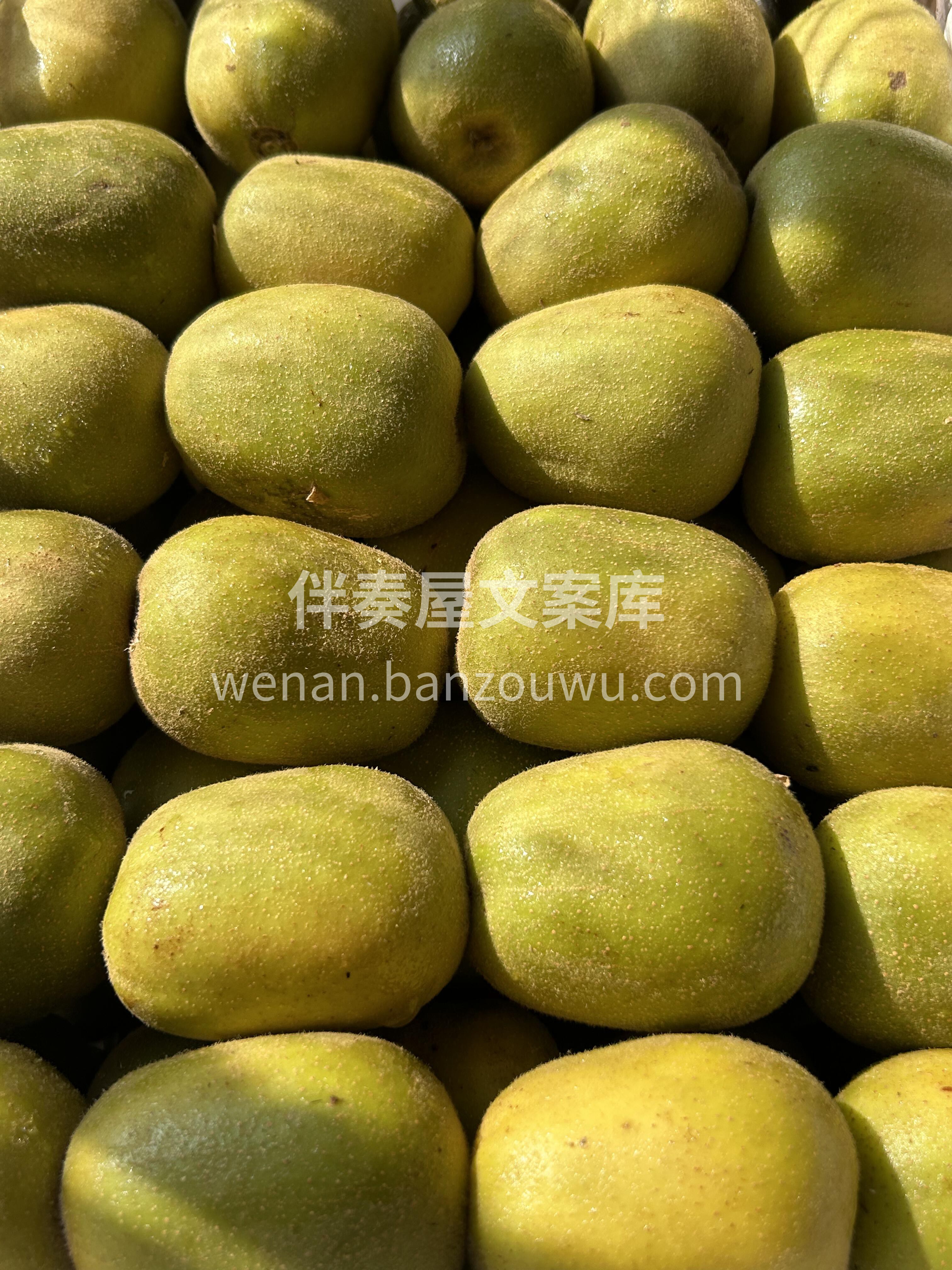 【🥝红心猕猴桃✈】💋💋大家最爱👏🏻👏🏻  配图3