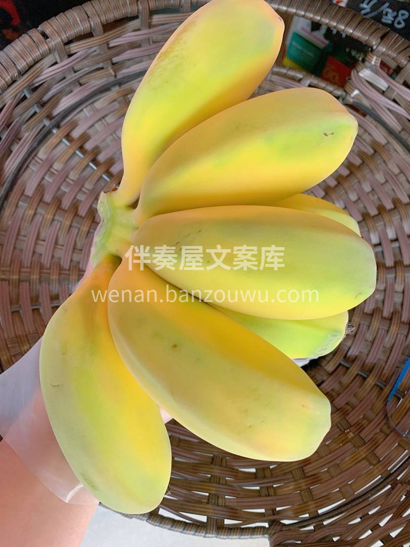 🌕圆嘟嘟的身体，显得非常地呆萌😊 闻起来 配图3