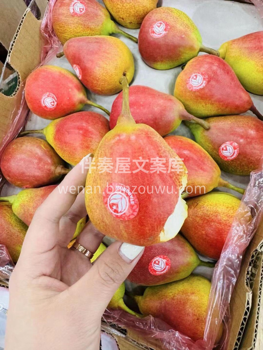 智利🇨🇱红标彩啤梨 美貌与实力并存🫣美貌 配图1