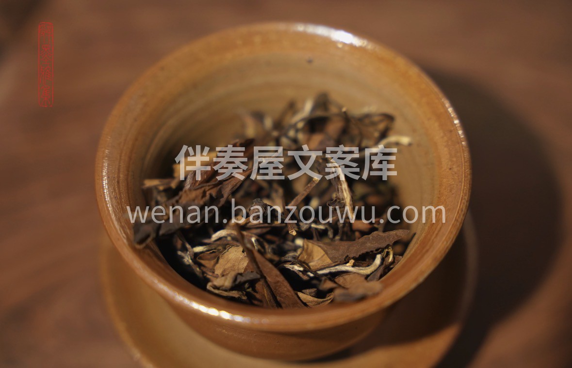新春启福，寿眉相伴。一杯暖茶，祝岁岁安康 配图1