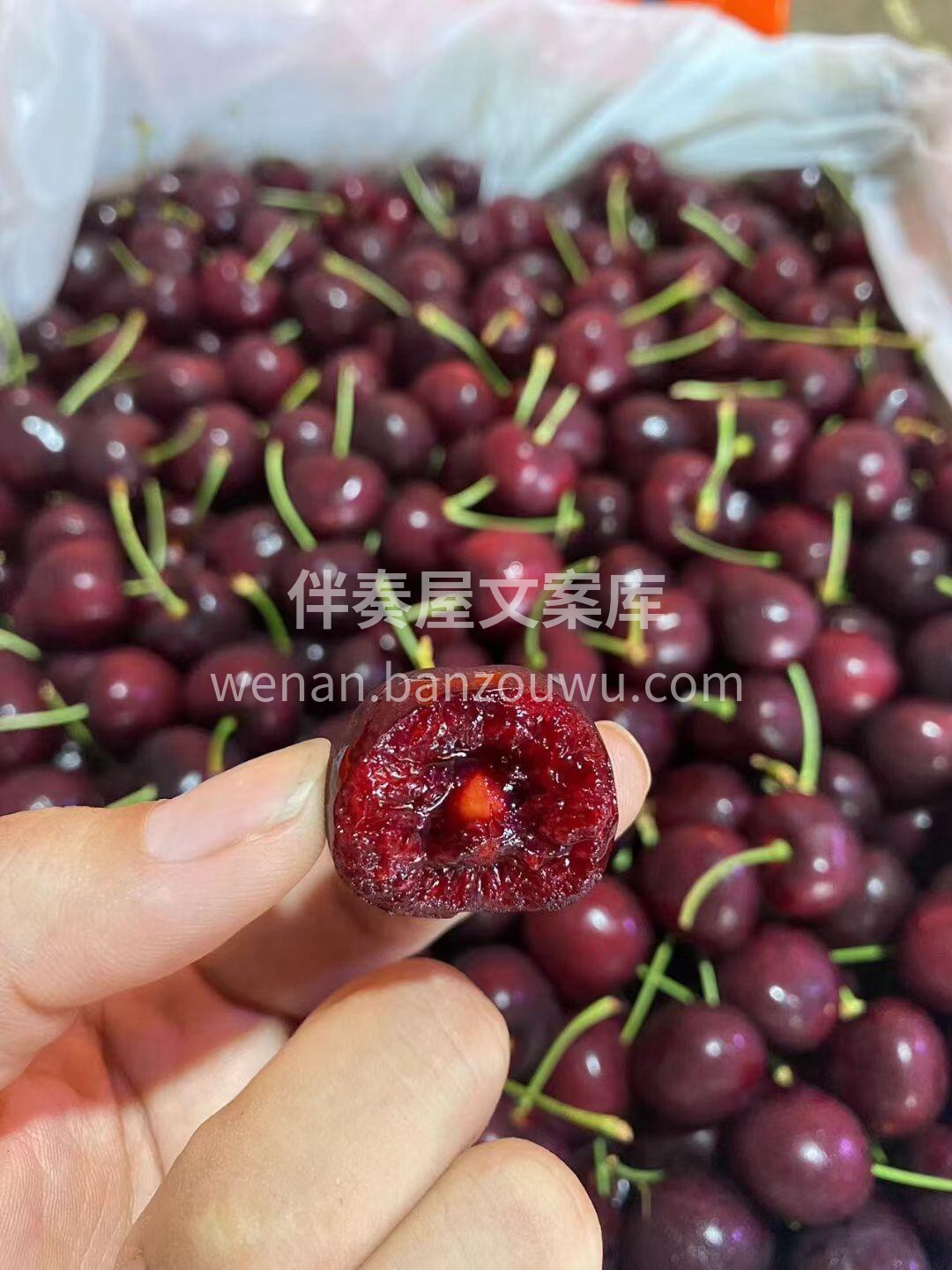 🍃吧唧一口😋赶跑忧愁～～ 卖水果的能有啥坏心眼子呢😍不就是想 配图5