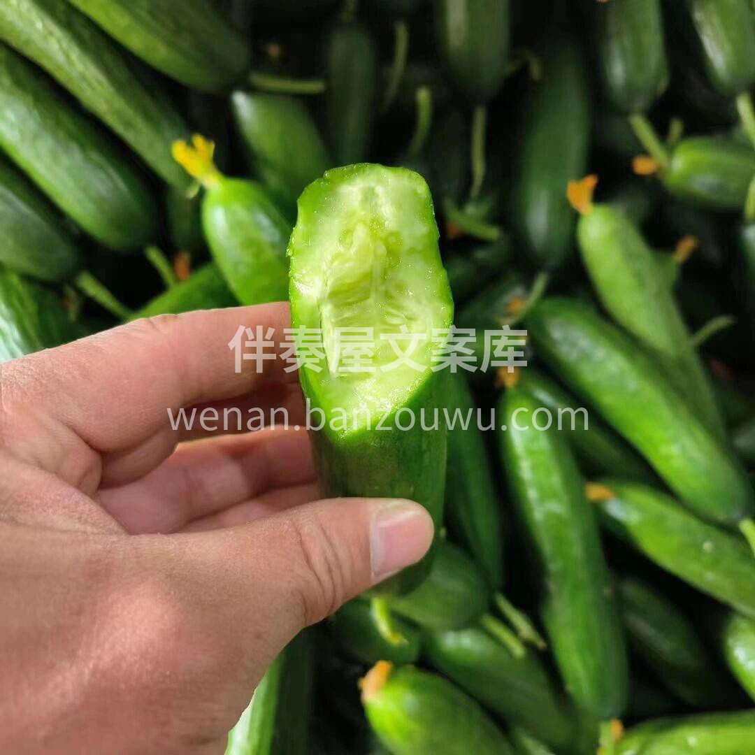 来啦！你还在为夏天怎么保持清爽而烦恼么？ 配图1